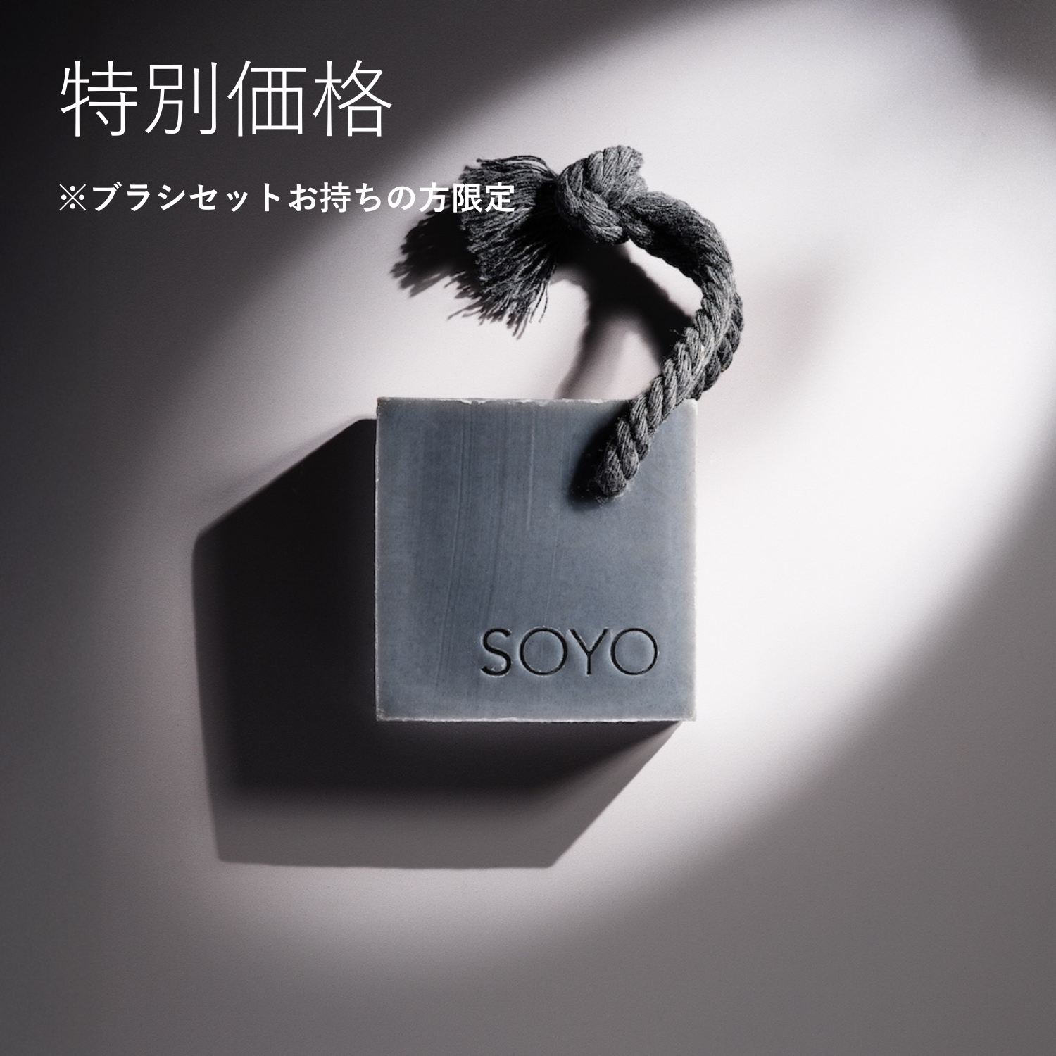 SOYO ブラシメンテナンスソープ （2個セット）