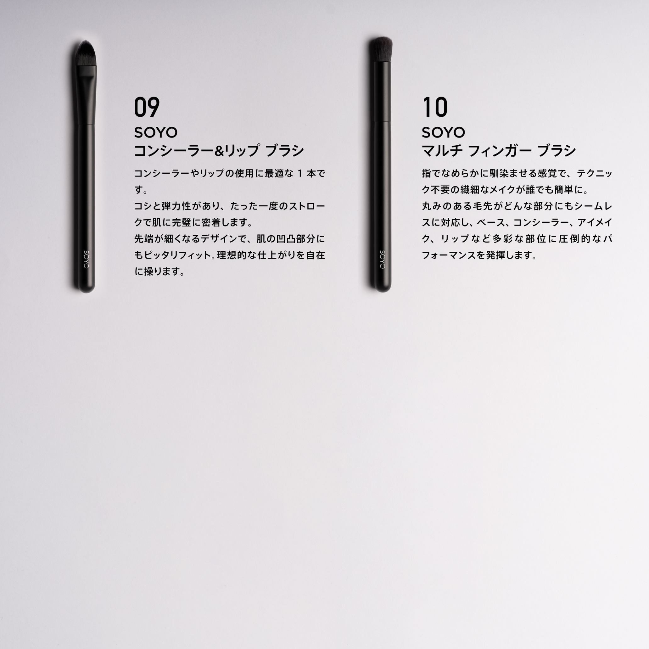 SOYO ディスカバー セット（10本＋ケース付）