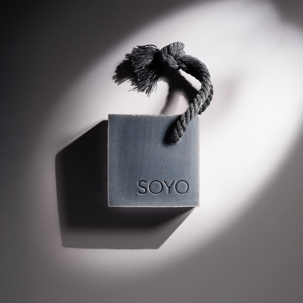 SOYO Smooth Lifter 付属品全て揃ってます SOYO ブラシメンテナンスソープ （2個セット）